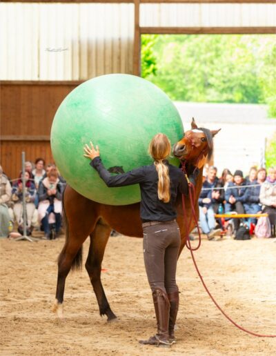 Parelli Instruktorin Nina Gassner